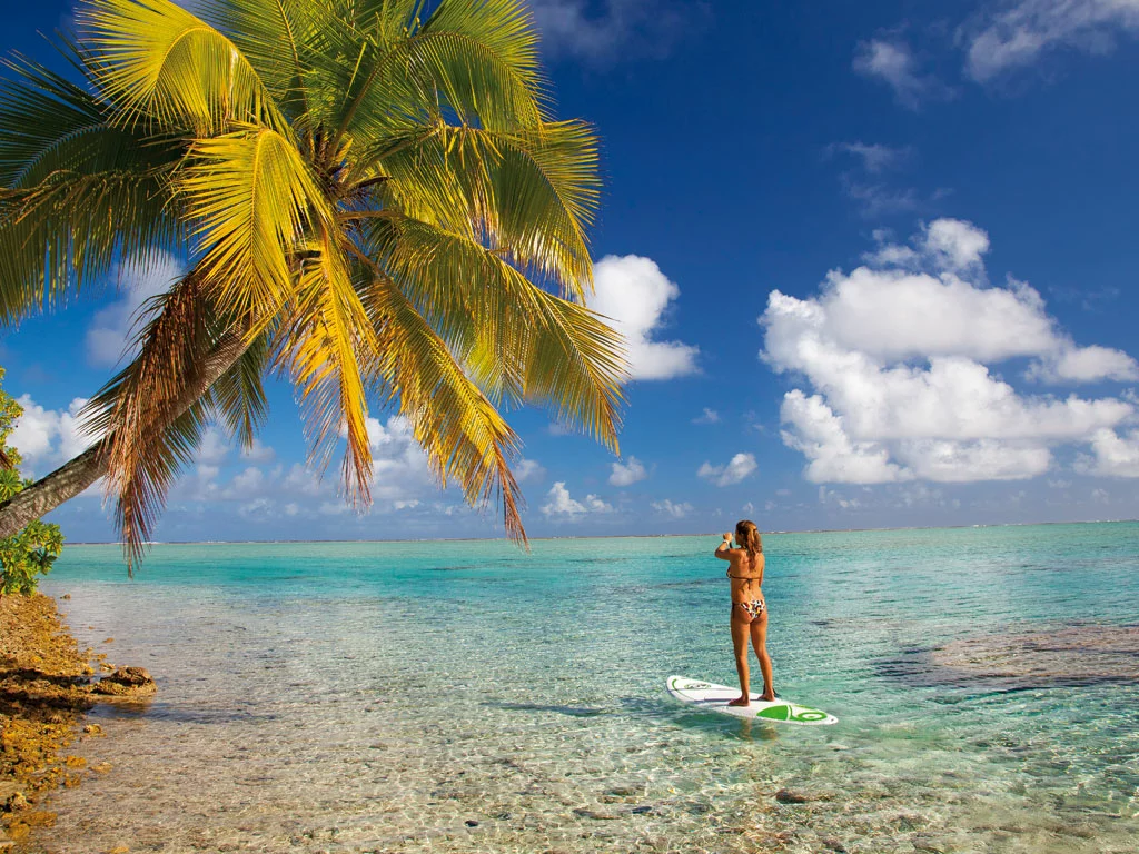 Location paddle
